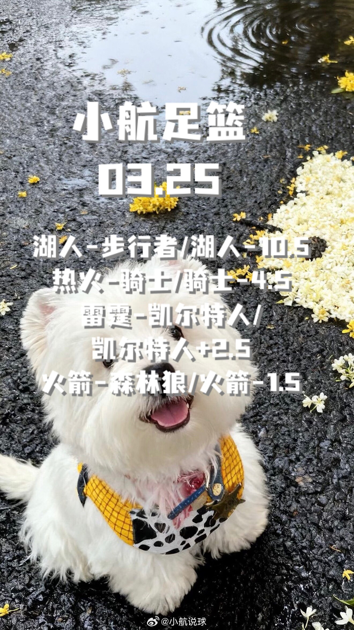 季后赛生死战：每一分都决定命运